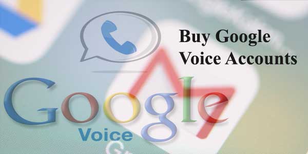 Google voice account